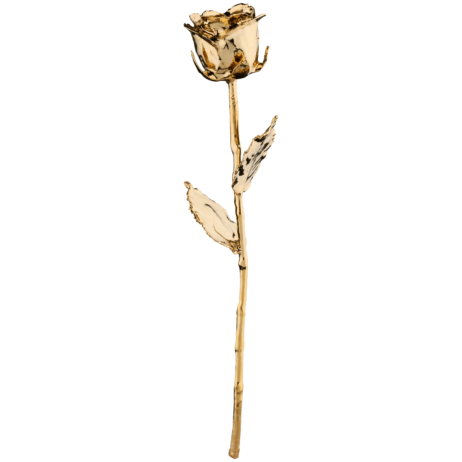 Mikamax 24k Golden Rose - Gold